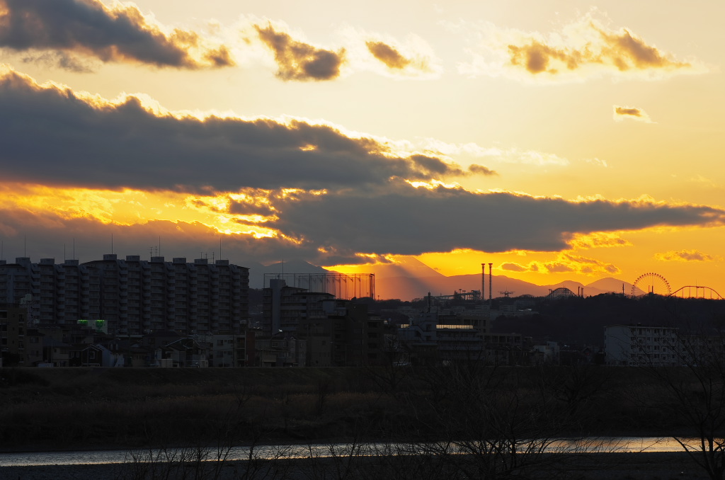 d0192516_1039060.jpg