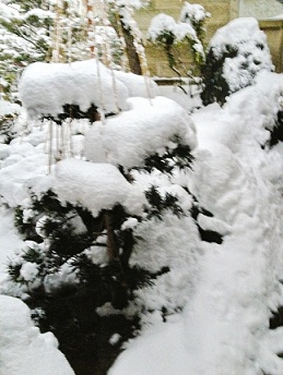e0202518_2055311.jpg