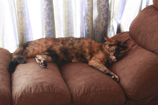 f0203423_1225251.jpg