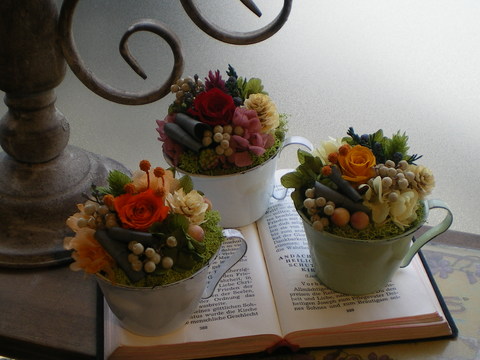 e0128024_1230347.jpg