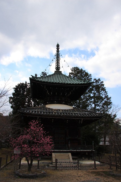 嵐山梅巡り －清涼寺－_b0169330_9431434.jpg