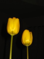 c0158033_9545836.jpg