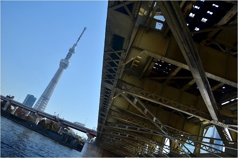 c0095342_15511931.jpg