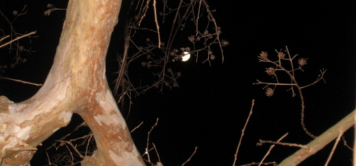 e0228147_2057163.jpg