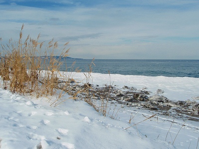 e0004756_20393711.jpg