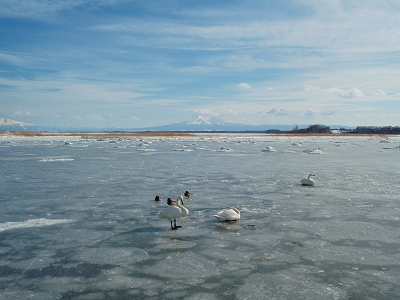 e0004756_20413763.jpg