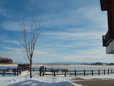 e0004756_2044483.jpg