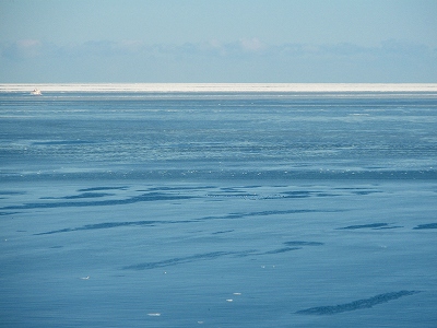 e0004756_2191853.jpg