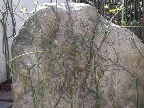 d0231057_19264341.jpg