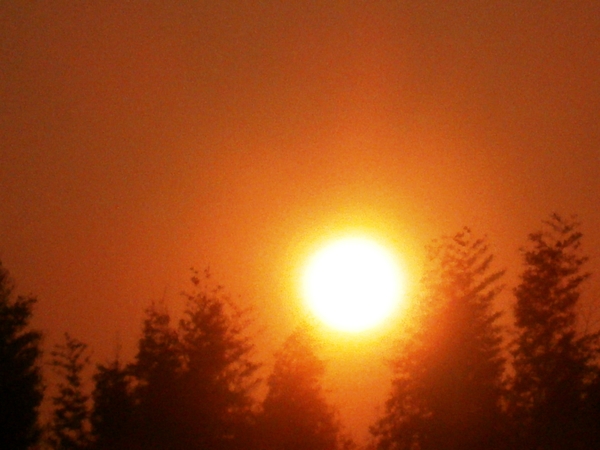 a0174458_23593943.jpg
