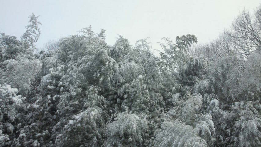 f0056261_11212356.jpg