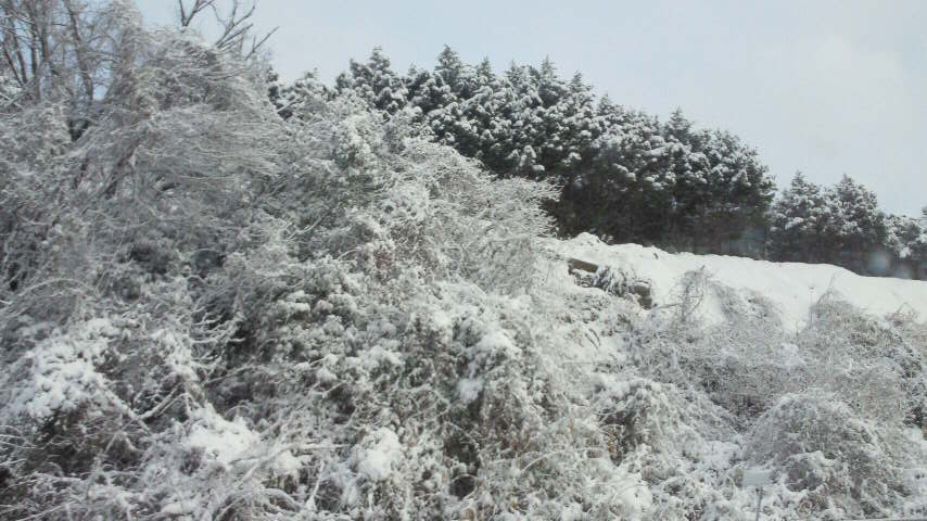 f0056261_11213527.jpg
