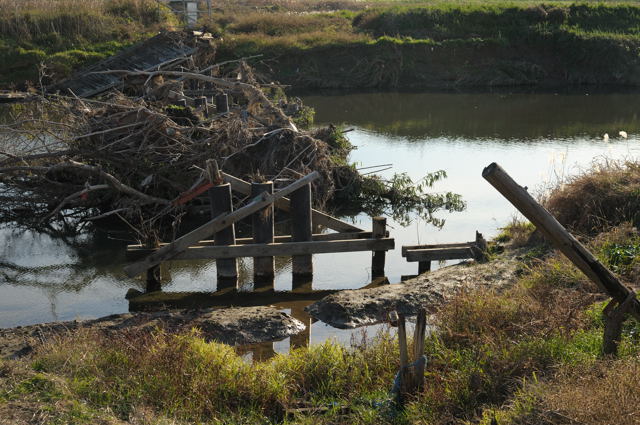 さいたまの沈下橋・再び_c0081462_20571634.jpg