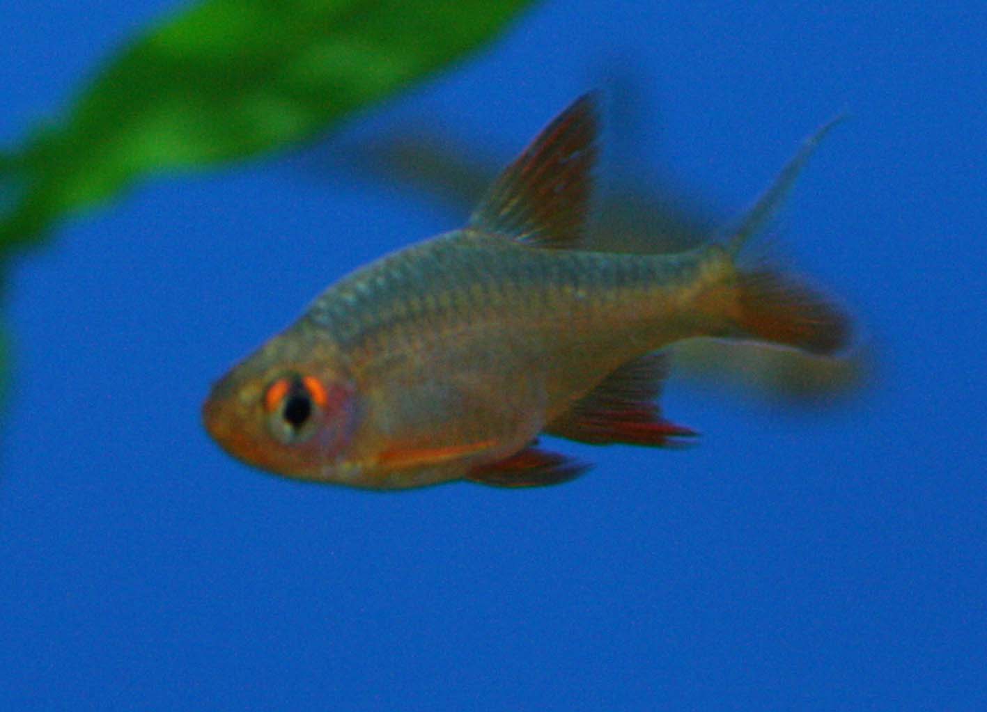 a0162263_20105233.jpg