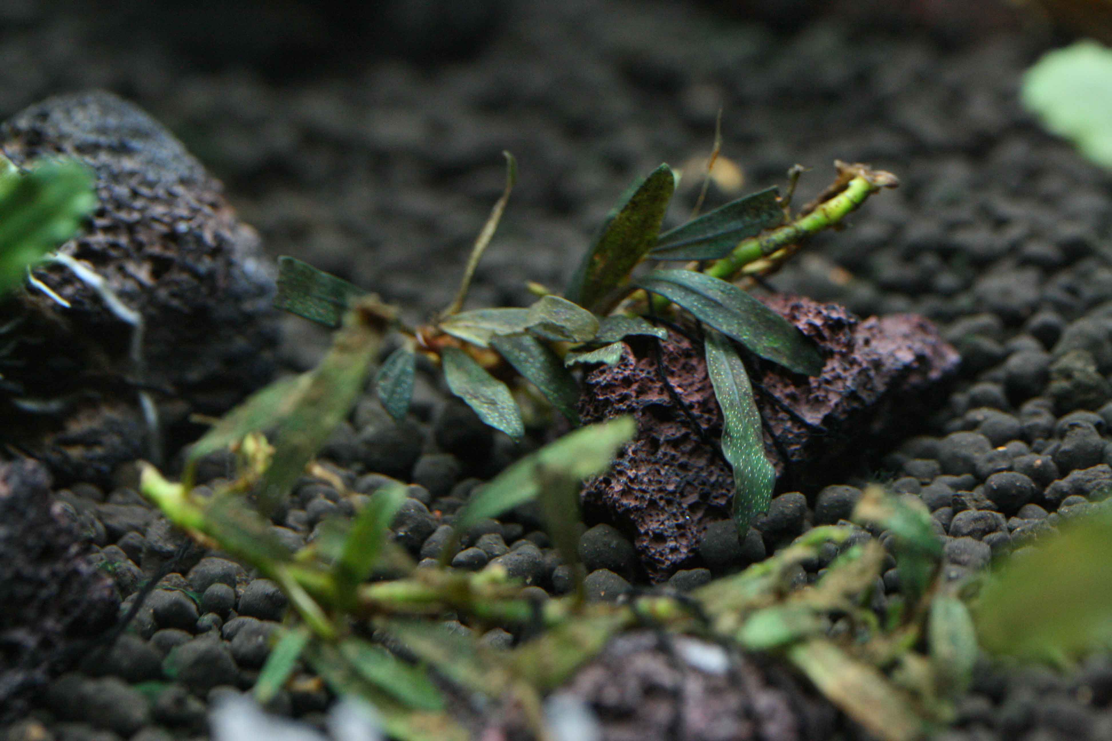 f0224970_18375014.jpg