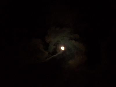 発見!!_d0165772_19133956.jpg