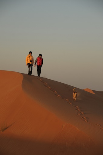 e0066474_711249.jpg