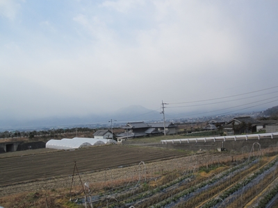 耐寒訓練_e0201281_2122080.jpg
