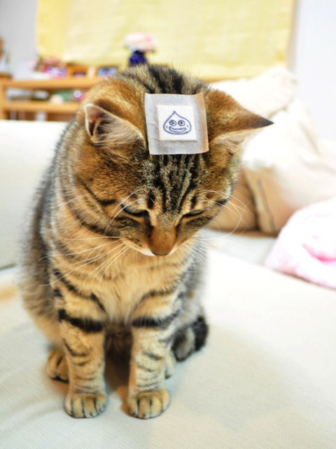 取れました!_a0126590_23305437.jpg