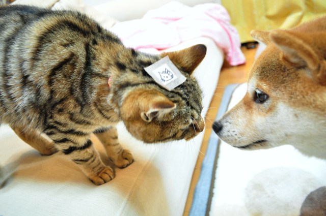 取れました!_a0126590_23335213.jpg