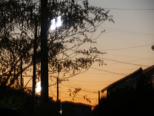 f0130894_2027262.jpg