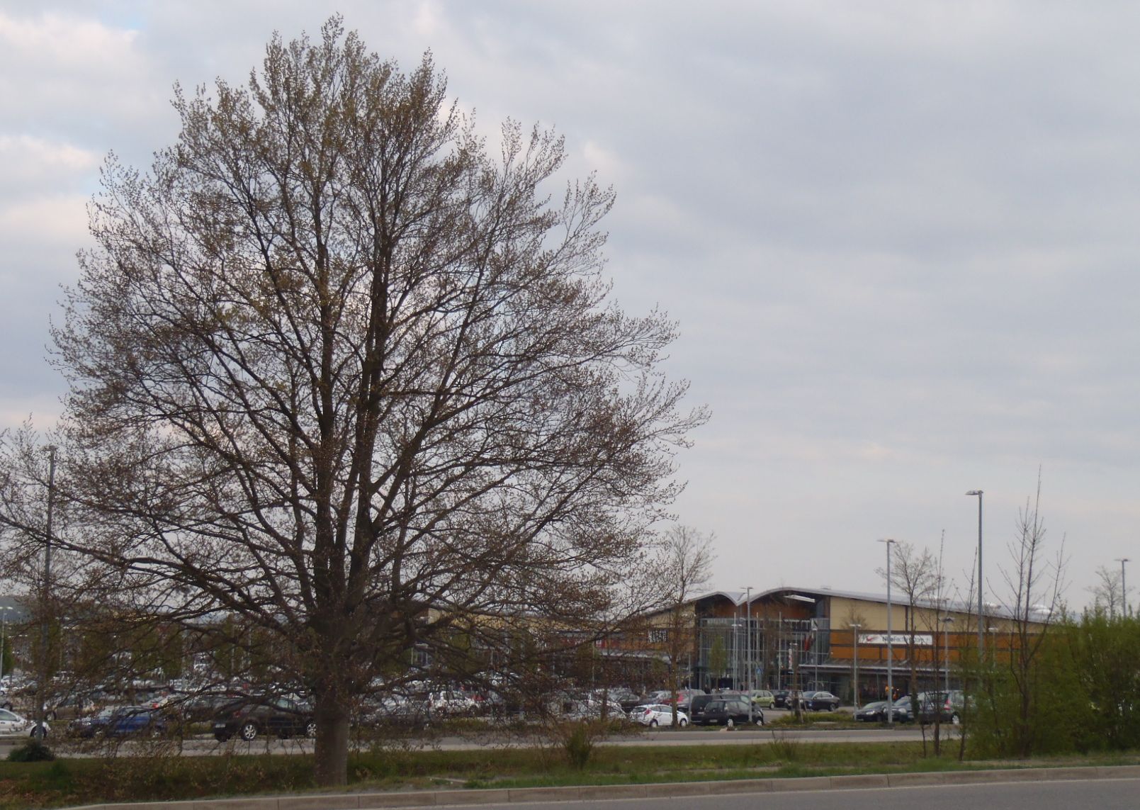 a0056401_02183.jpg