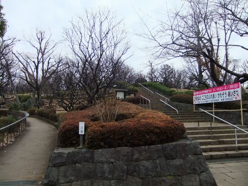 f0120102_9584532.jpg