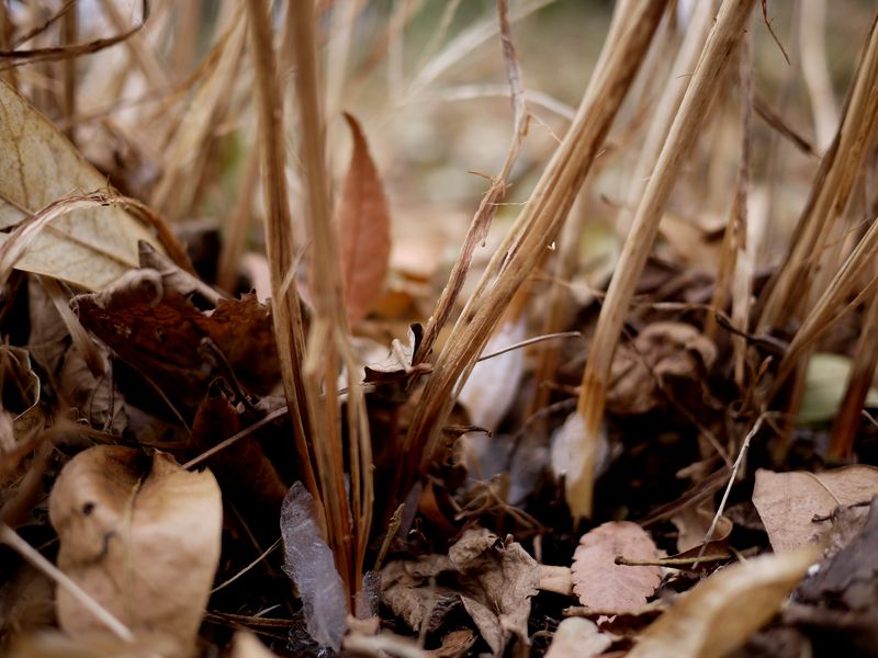 c0187503_21162392.jpg