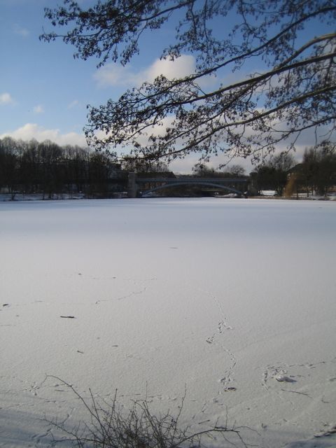 e0211204_4161998.jpg