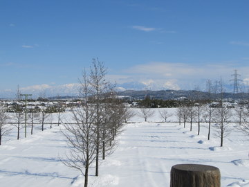 雪の公園_a0109506_212936.jpg