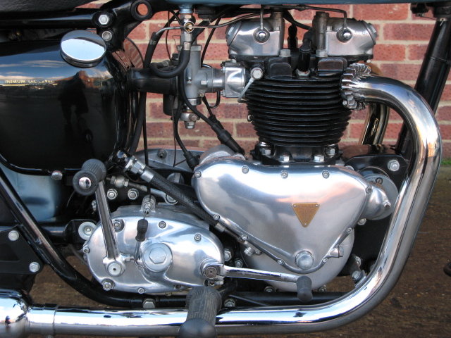 1954年 TRIUMPH T110 : SCC izm