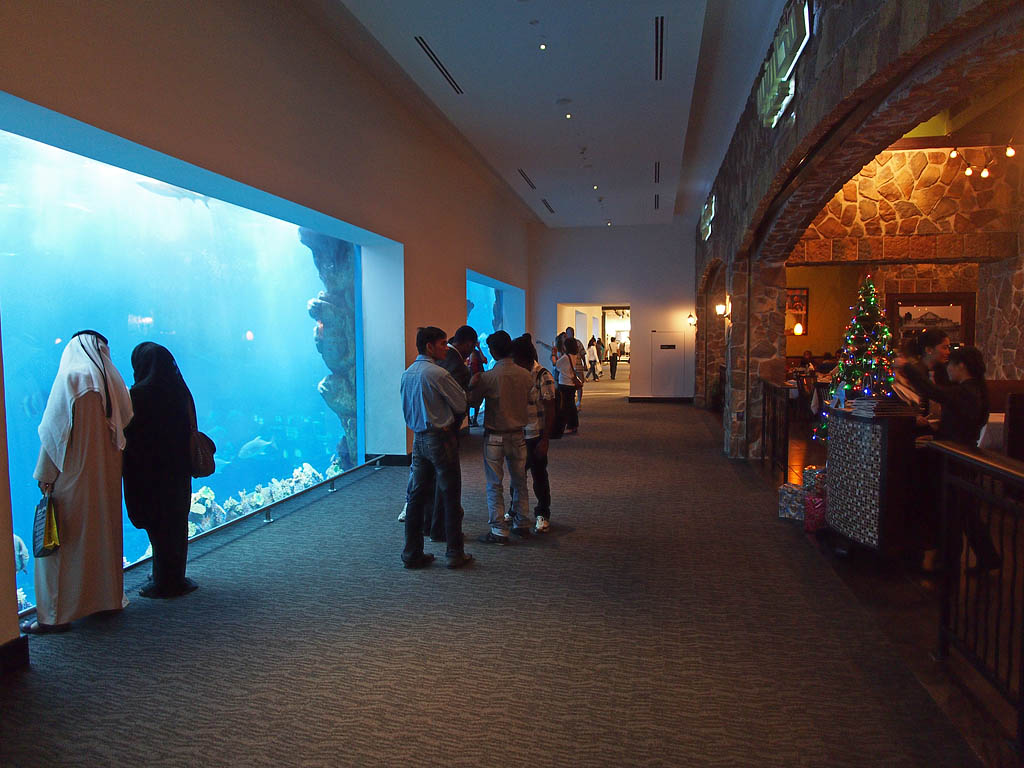 ドバイの水族館（１）ドバイ水族館_c0228207_1846467.jpg