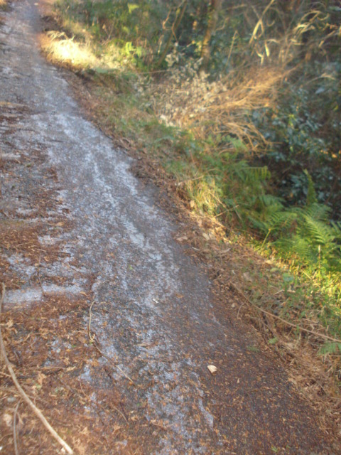 e0015108_12385549.jpg