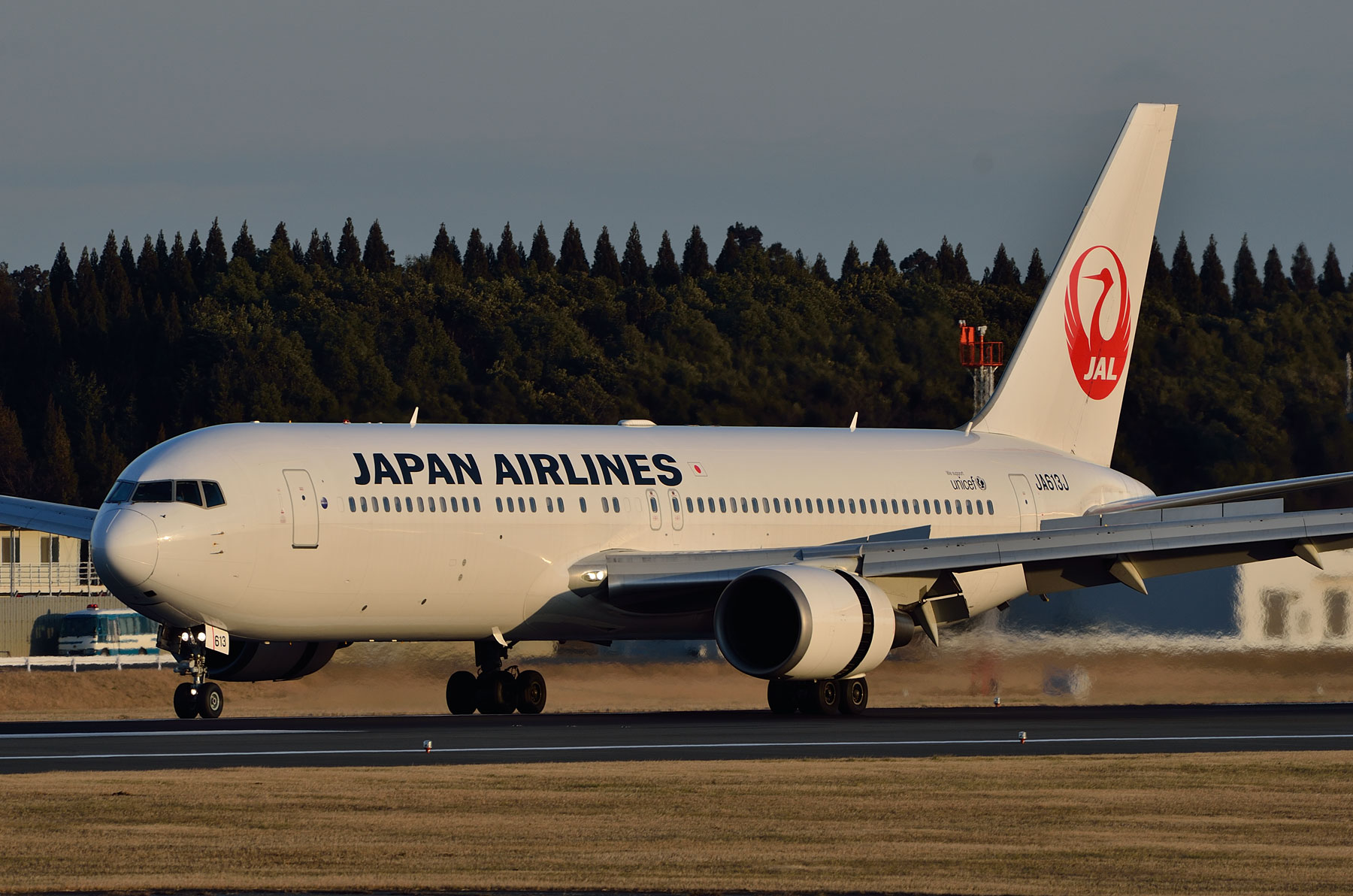 BOEING 767-300ER / JA613J : SKY LOUNGE GARDEN -transporter side- BOEING 767-300ER / JA613J : SKY LOUNGE GARDEN -transporter side-