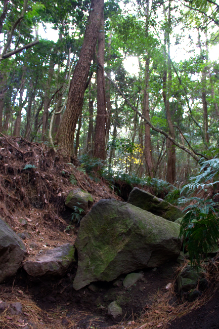 d0174919_21453214.jpg