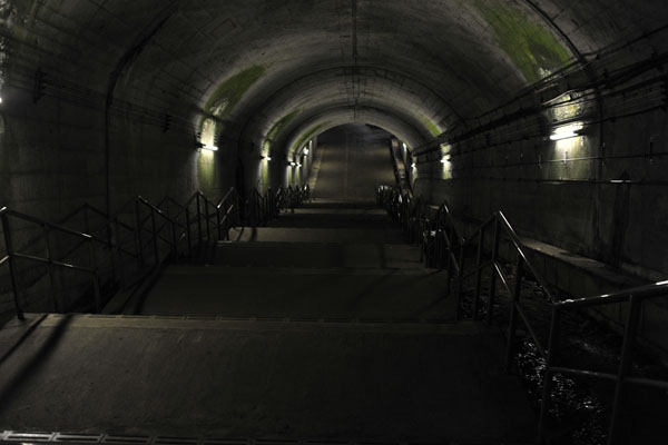 c0182231_17464965.jpg