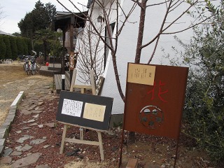e0202031_225066.jpg