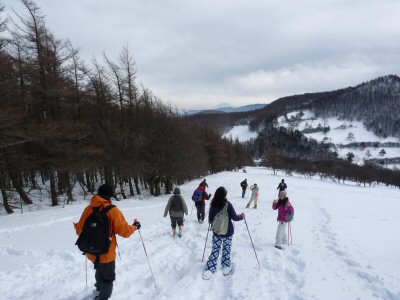 入笠湿原~大沢山スノーシュー_f0019247_23455012.jpg