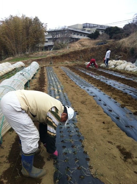 本日は畑へ総勢６名・・凄い人数です・・_c0222448_15381264.jpg