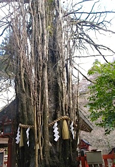 貴船神社へ　その１■本宮_b0025850_1651446.jpg