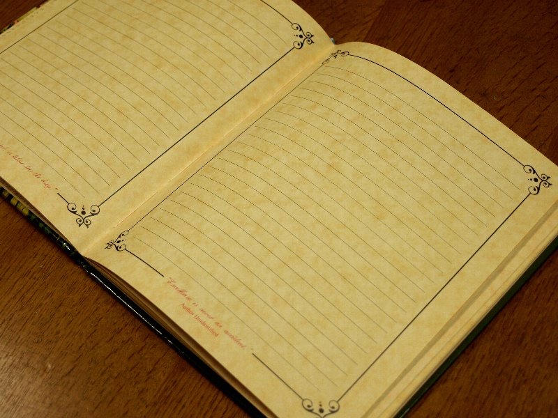 ☆The Louis Wain Notebook☆_c0092953_19132911.jpg