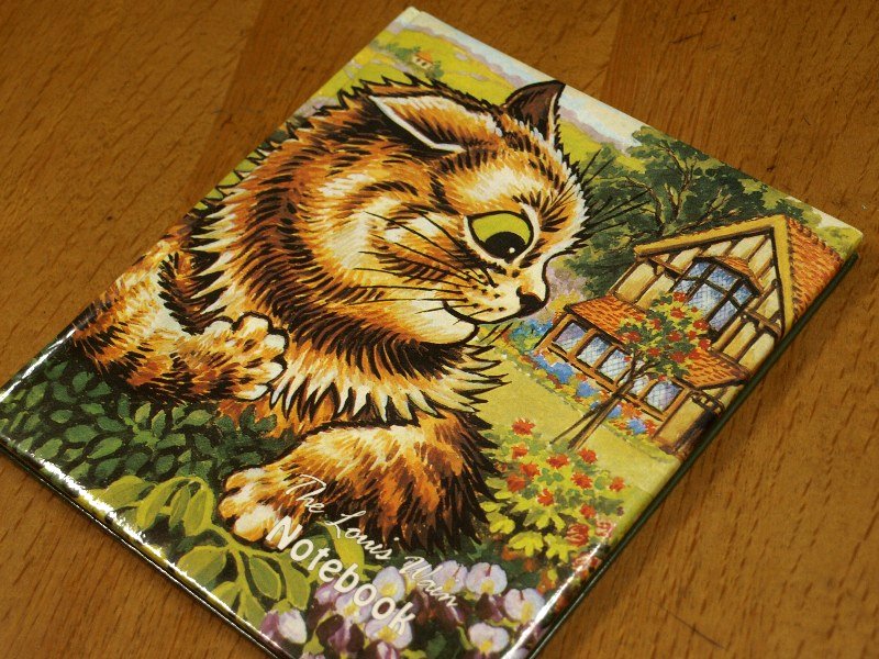 ☆The Louis Wain Notebook☆_c0092953_19135463.jpg