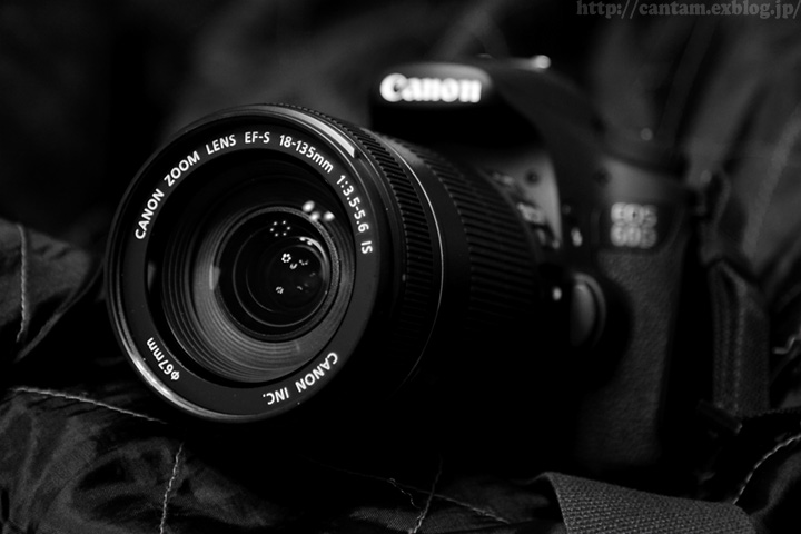 Canon EF-S18-135mm F3.5-5.6 IS_f0091955_4484717.jpg