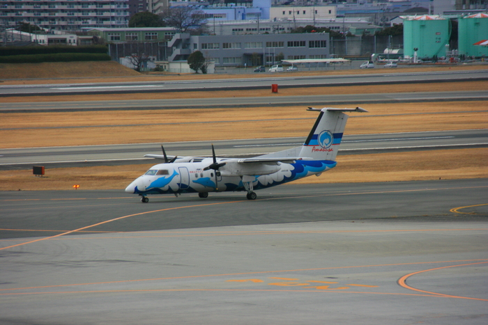 Ｂ７８７など、いろんな飛行機がいっぱい・・・_b0183356_14531038.jpg