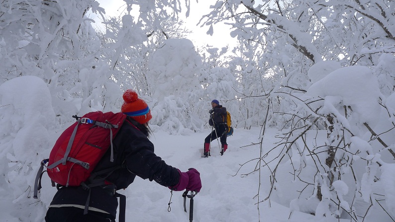 道後山（1.271ｍ）、多里側より。_d0007657_171192.jpg