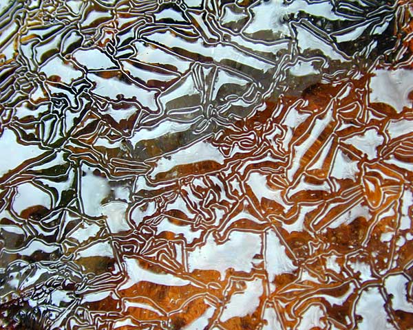 e0035757_1736295.jpg