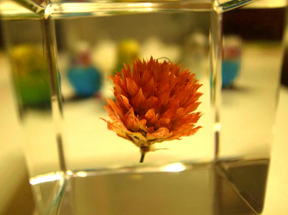 f0149057_17573145.jpg