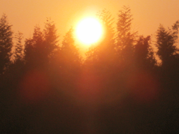 a0174458_03424.jpg
