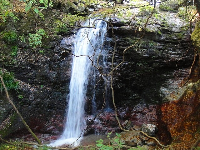 c0119160_53132.jpg