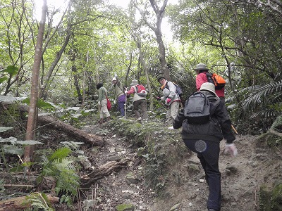 c0180460_19392277.jpg